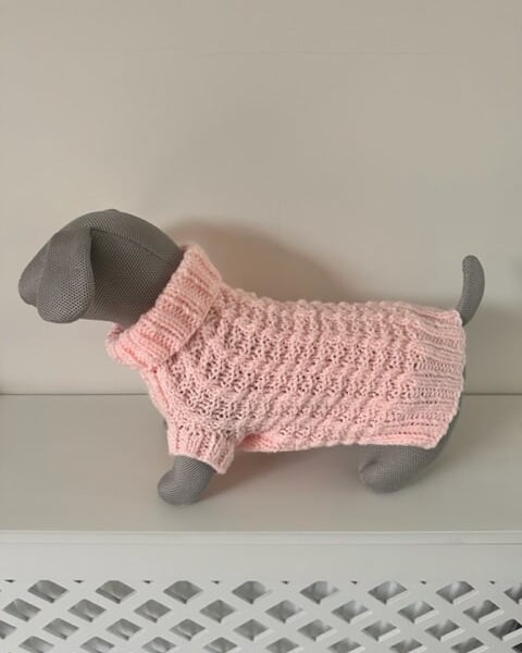 XS Dog Jumper - Ideal for a Miniature Dachshund or Small Dog