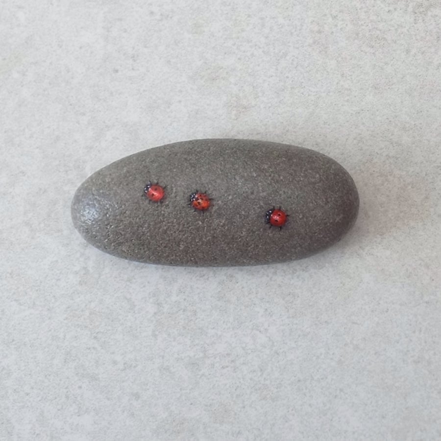 Hand Painted Stone 'Ladybirds'