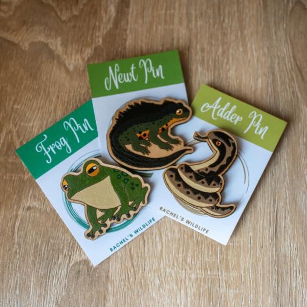 Newt, Frog & Adder Wooden Pin Set – British Wildlife (Set of 3)