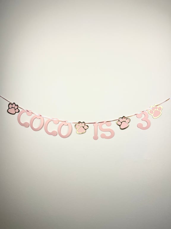 Dog Cat Custom Birthday Banner Party Bunting