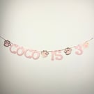 Dog Cat Custom Birthday Banner Party Bunting