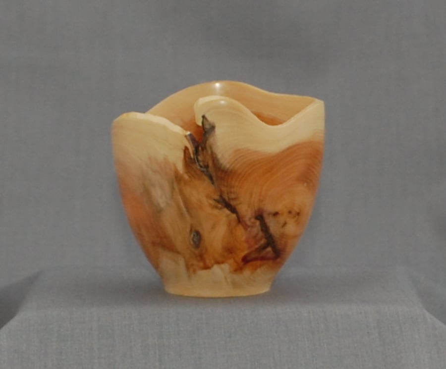 Wave Bowl in English Yew
