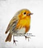 Exclusive Handmade Robin Greetings Card on Archive Photo Paper - Image 2