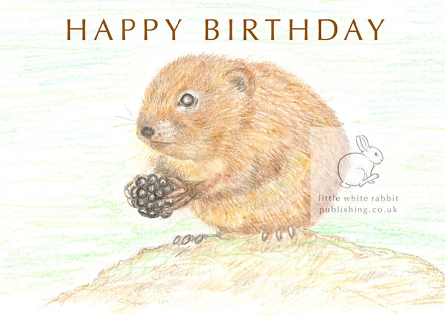 Water Vole - Birthday Card