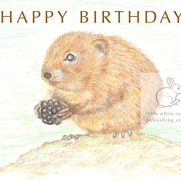 Water Vole - Birthday Card