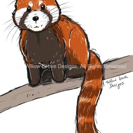 Red Panda - Art Print