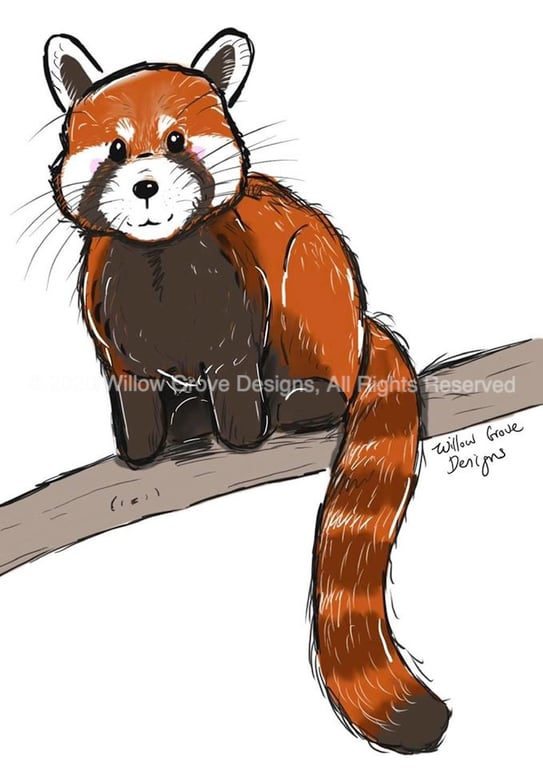 Red Panda - Art Print