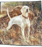 White Pointer standing waiting for action cushion - Image 2