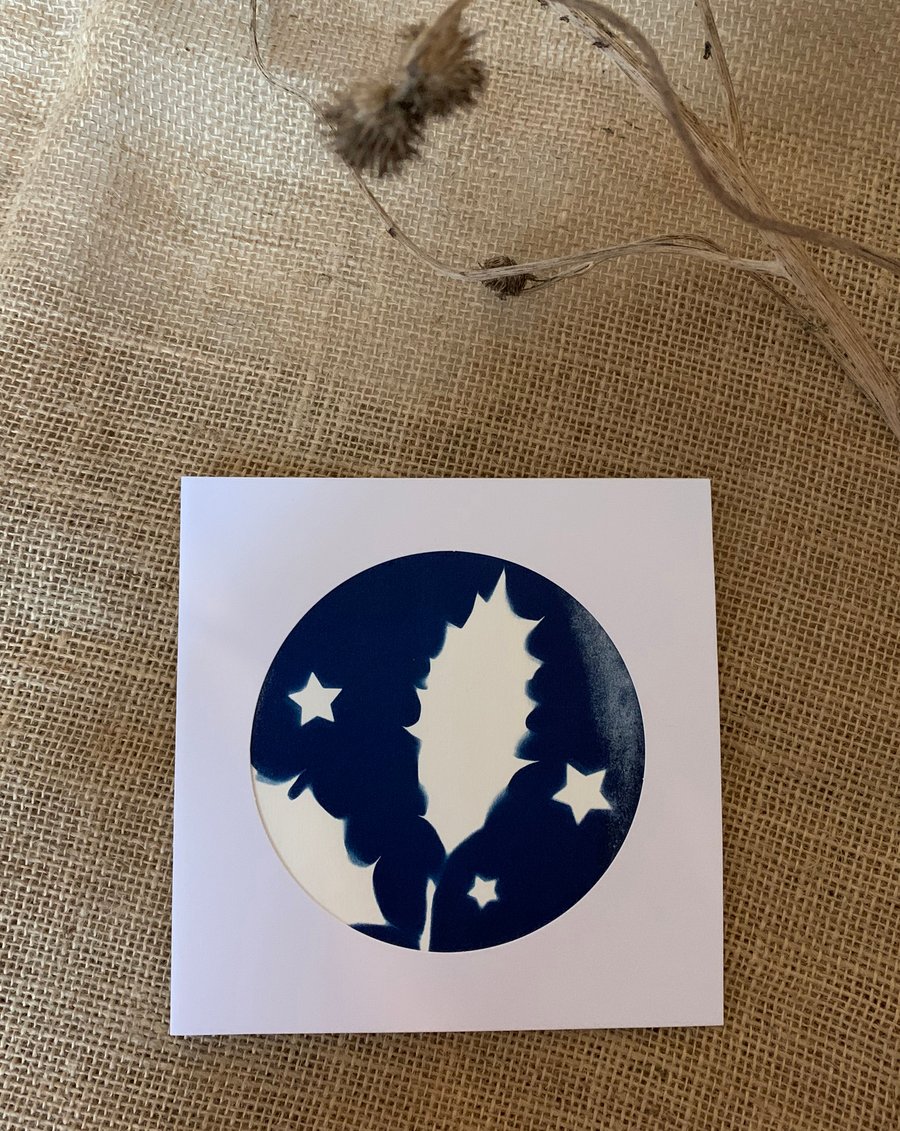 Holly Cyanotype Card