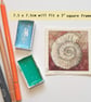 Little ammonite fossil original art miniature, artwork, tiny painting - Image 5