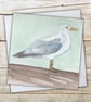 Cornish Seagull Watercolour Fine Art Native Marine Wildlife Greeting Card