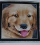  Puppy Portrait cushion - Image 2