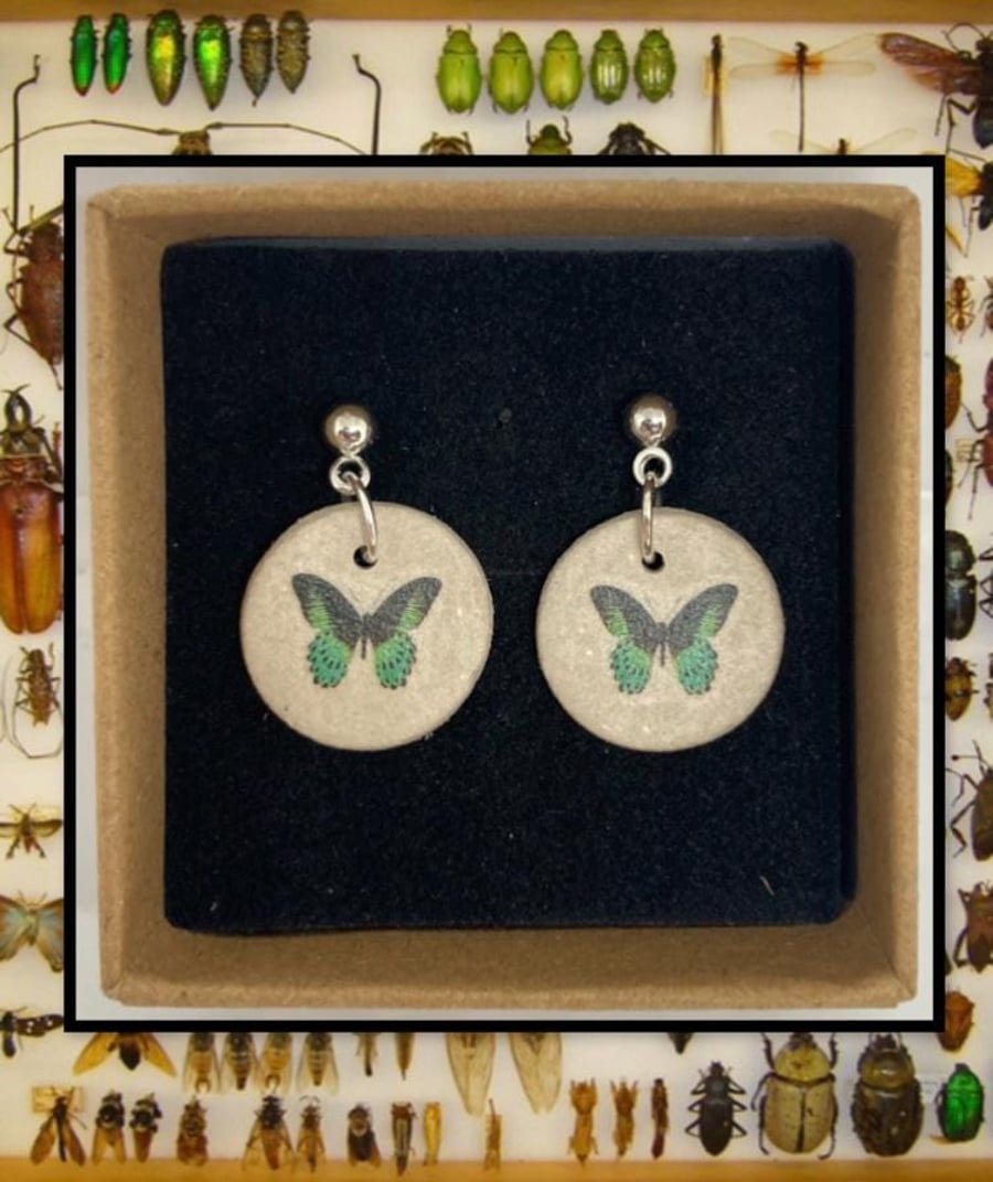 Bug stud clay earrings