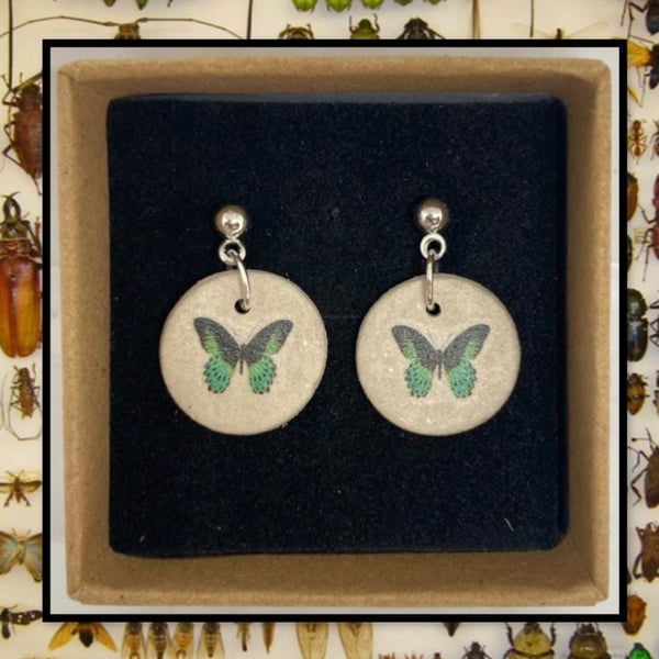 Bug stud clay earrings