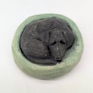 Yorkshire Pudding - Black Labrador 