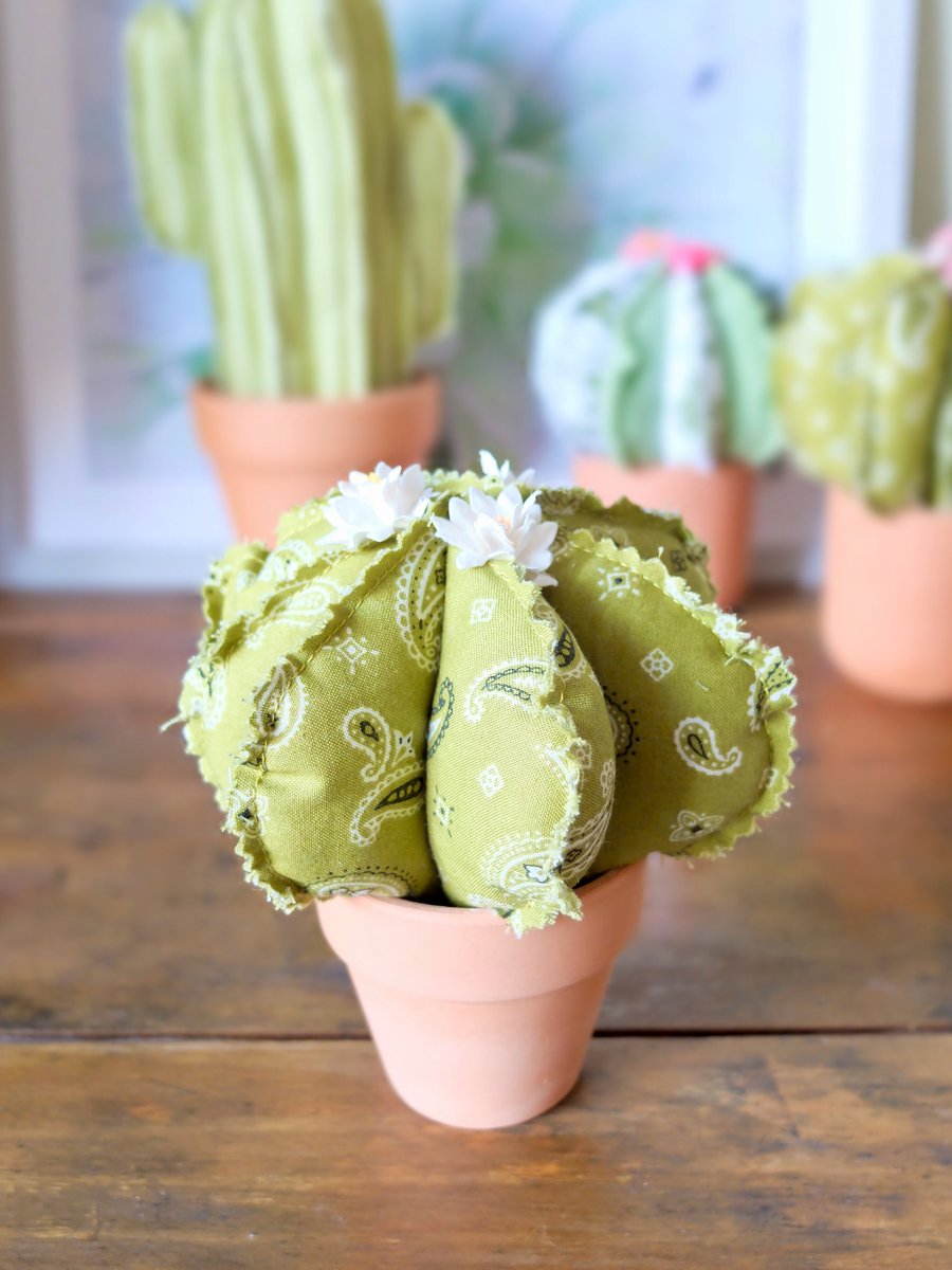 Paisley Fabric Mini Round Cactus