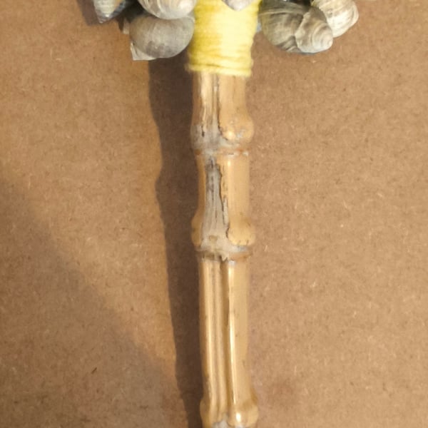 Shamanic shell rattle 