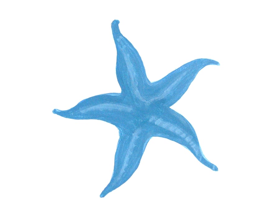 The Blue Starfish