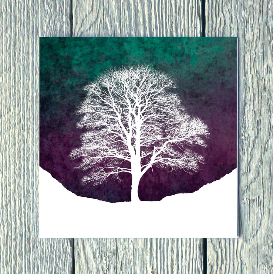 Winter Sky at Sycamore Gap, Greetings Card