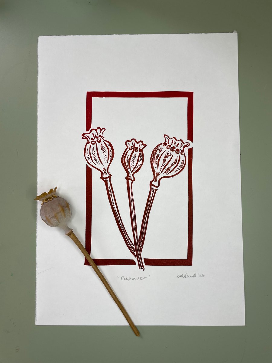 Papaver - Poppy Seed Heads Lino print Red