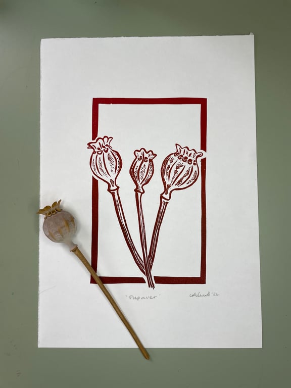 Papaver - Poppy Seed Heads Lino print Red
