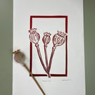 Papaver - Poppy Seed Heads Lino print Red