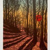 'Sunset Shadows' screen print - perfectly imperfect