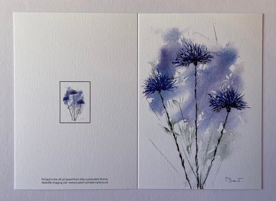 Two Cornflowers print cards