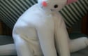 DEMENTIA OR ALZHEIMER'S COMFORT TOY