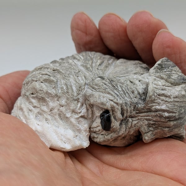 Sleepy Schnauzer Sculpture