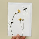Perfectly Imperfect Real Pressed Flower, Wildflower and Bee Greeting Card