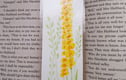 Watercolour Bookmarks