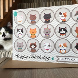 Happy Birthday CRAZY CAT LADY Greetings Card - Cat Themed - Cat Lover