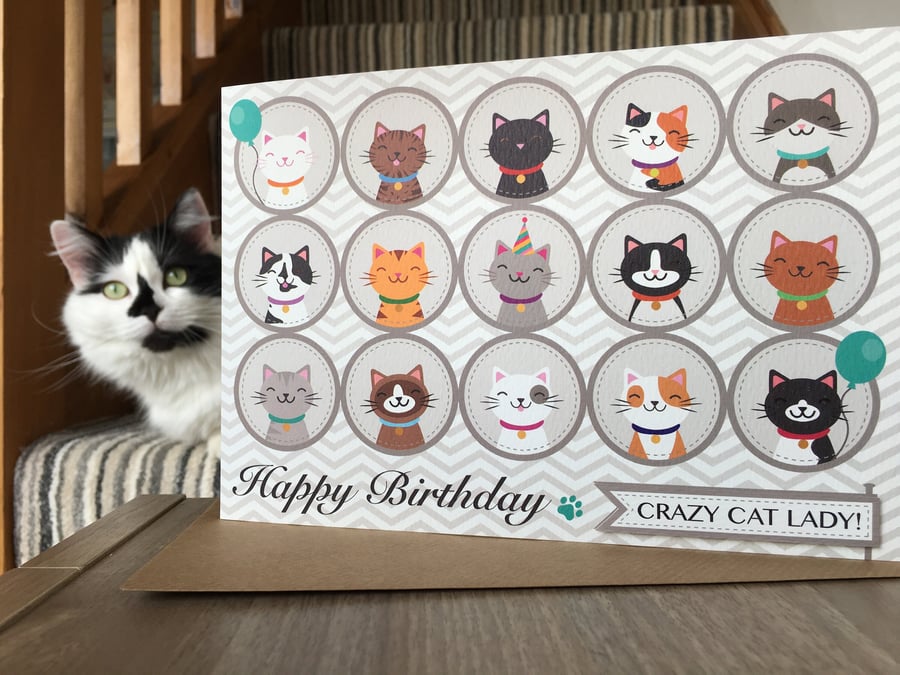 Happy Birthday CRAZY CAT LADY Greetings Card - Cat Themed - Cat Lover