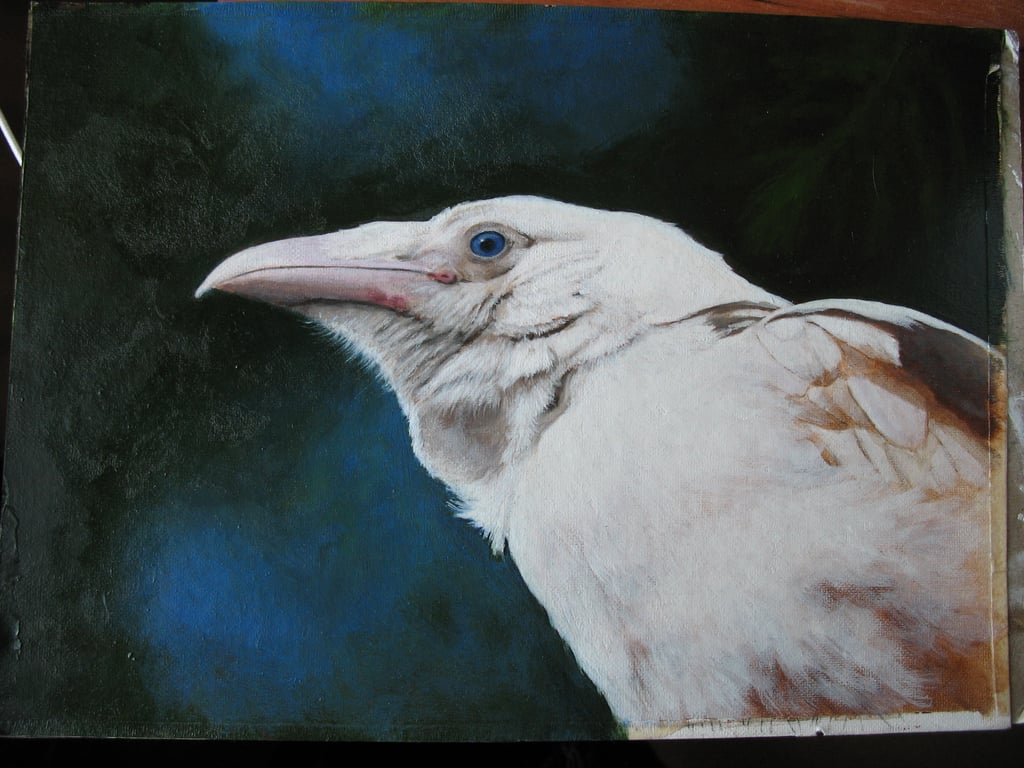Studio Sale! Stately White raven oil painting