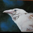 Studio Sale! Stately White raven oil painting