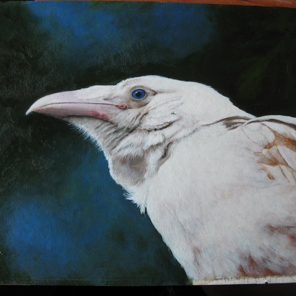 Studio Sale! Stately White raven oil painting