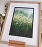 A Patch of Oxeye Daisies original oil pastel painting, floral landscape wall art - Image 9