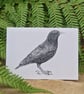 European starling card - Image 1