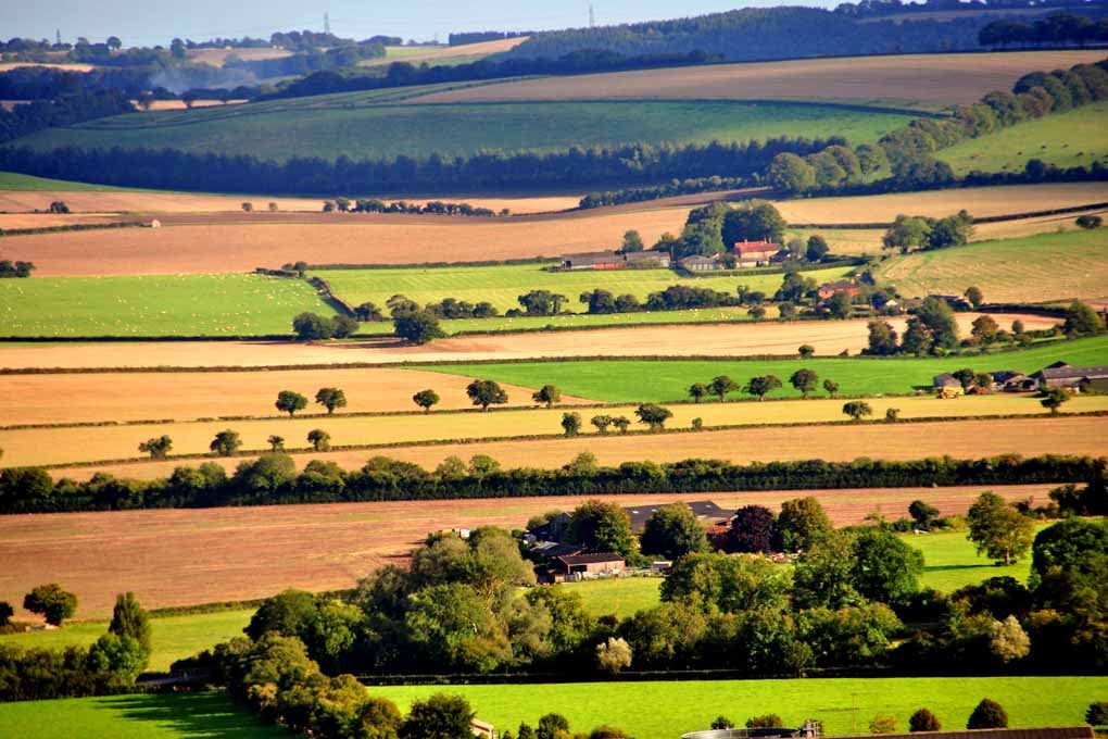 South Downs Beacon Hill Hampshire England Photograph Print