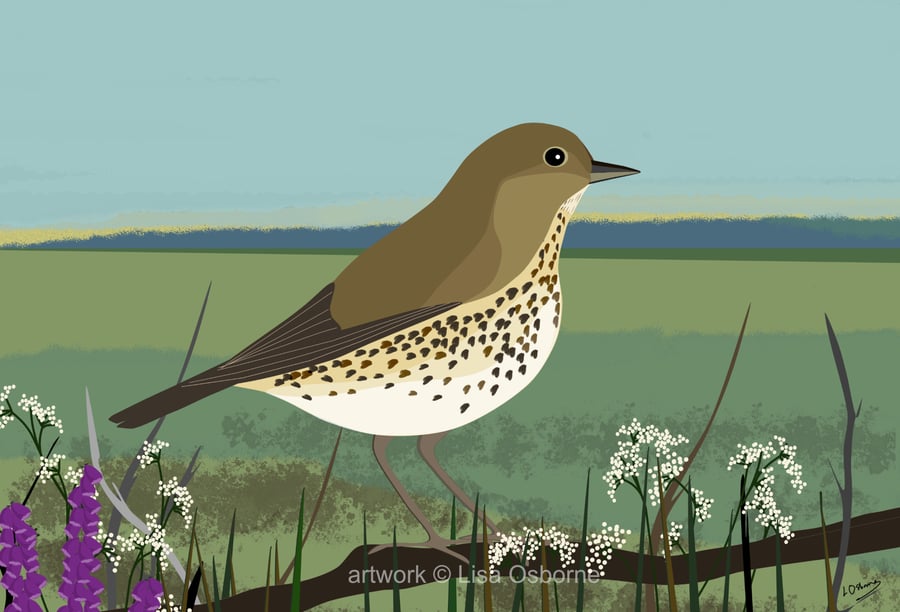 Song thrush - bird art print - garden birds