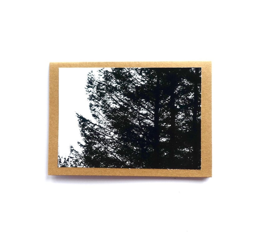 Pine Forest Cards - READY TO SHIP