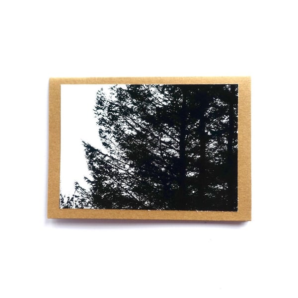 Pine Forest Cards - READY TO SHIP