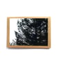 Pine Forest Cards - READY TO SHIP - Image 1