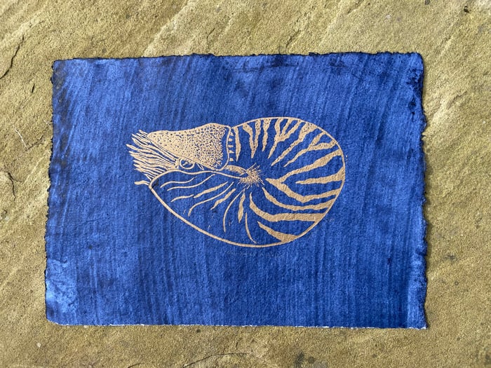 Lorna Ashworth Prints