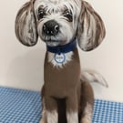Chinese Crested 