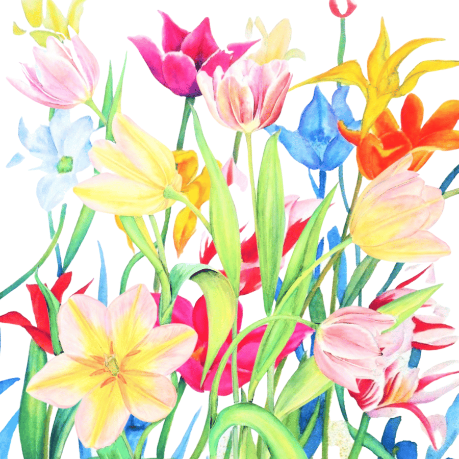  Colourful Spring Tulips Blank Greeting Card from Original Watercolour Painting