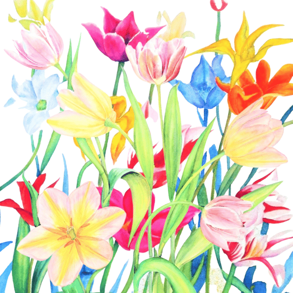  Colourful Spring Tulips Blank Greeting Card from Original Watercolour Painting