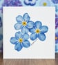 Forget-Me-Not Blank Floral Card