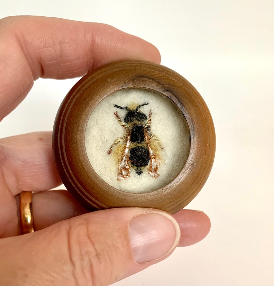 103b - Andrena bucephala or Female Big-headed Mining Bee - bee art